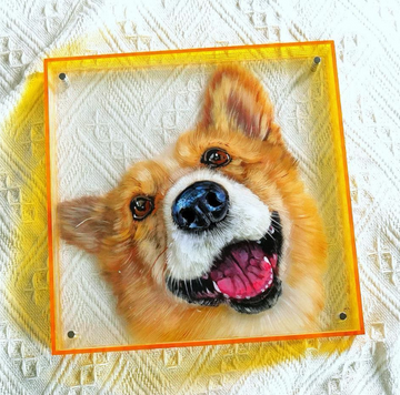 Dog Portraits